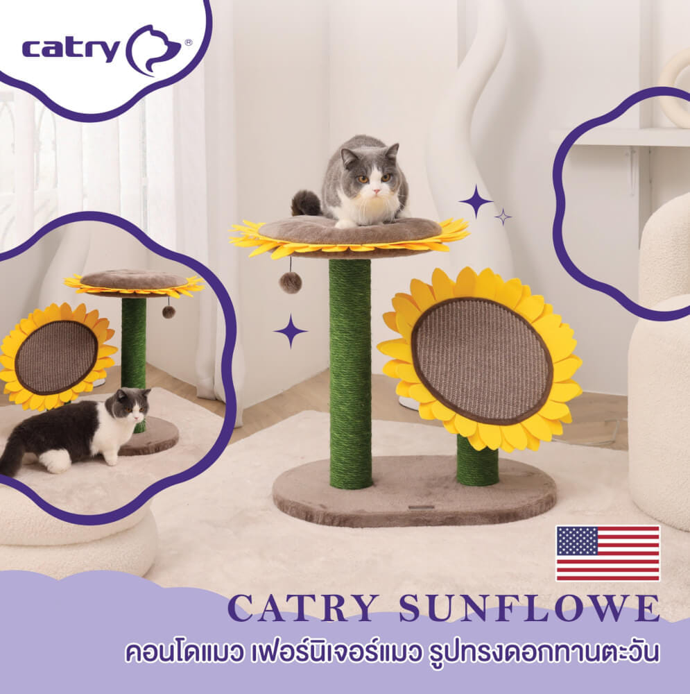 คอนโดแมว Catry รุ่น Sunflower พร้อมเสาลับเล็บ 2 เสาและที่นอนกำมะหยี่